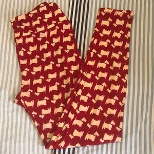 Lularoe OS Leggings